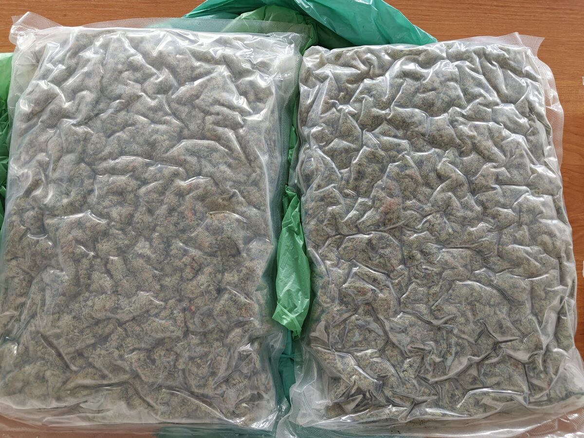 marihuana w foliowych workach