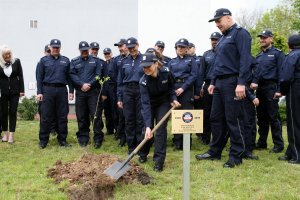 Policjantka podczas sadzenia dębu