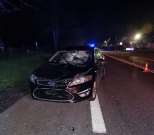 samochód marki ford, uszkodzony przodem po wypadku
