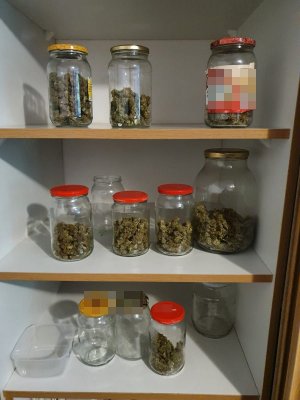 marihuana w słoikach stojących w szafce