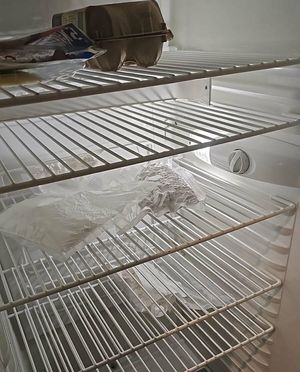 narkotyki w lodówce