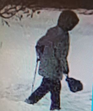 zdjęcie kobiety z monitoringu