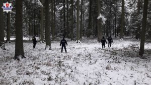 policjanci idący przez las